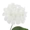 Cream Hydrangea Bush by Ashland&#xAE;